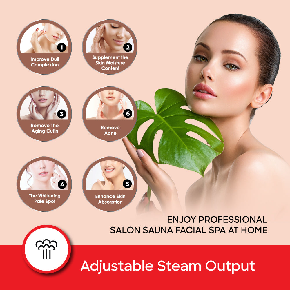Sanford 2-in-1 Facial Steamer with Nasal Mask and Steam Control – SF1948FS - Sanford India
