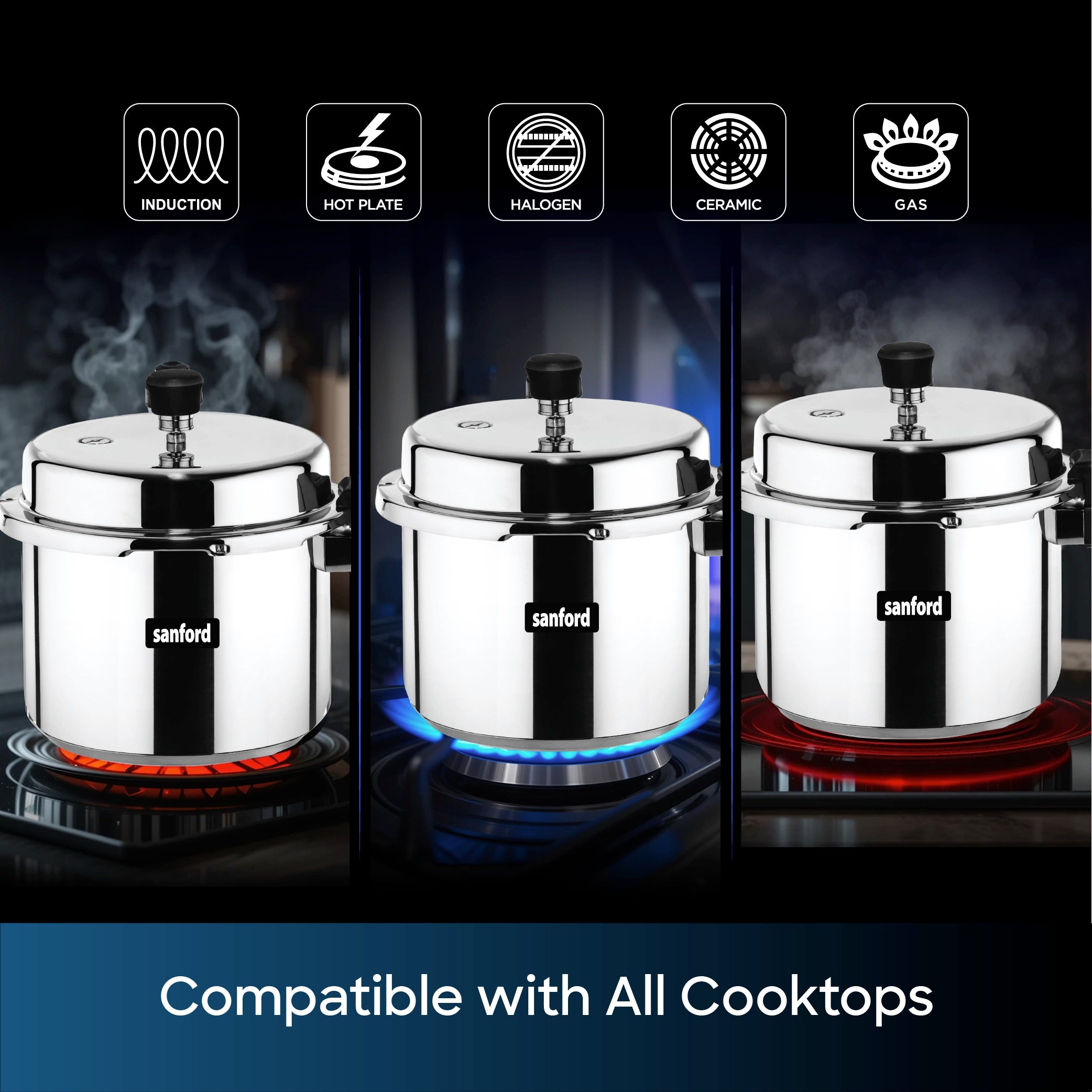 best stainless steel pressure cooker 3 litre sandwich bottom sanford 5